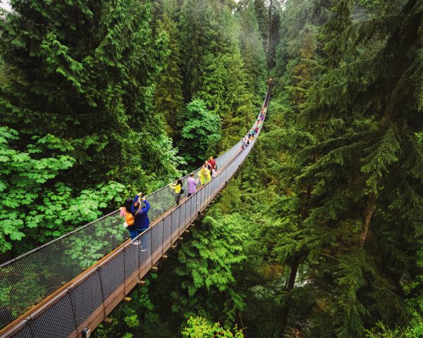 Capilano Suspension Bridge with people walking over the bridge. There are green trees all around the bridge.